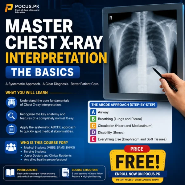 Master Chest X-Ray Interpretation