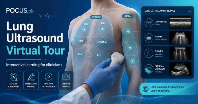 Lung Ultrasound Virtual Tour